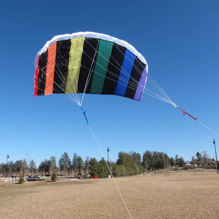50" Sport Air Foil Kite